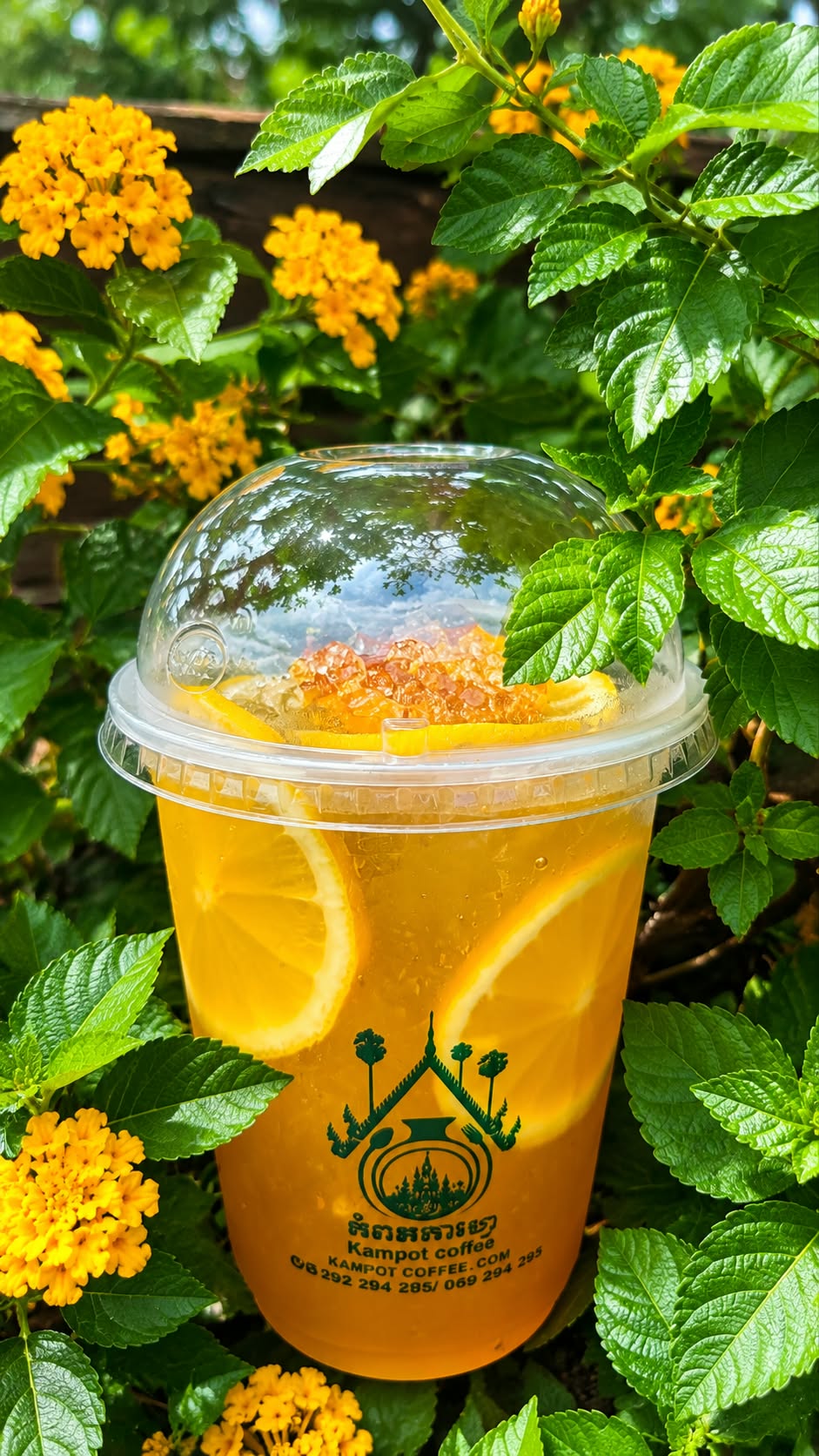 Honey lemon tea